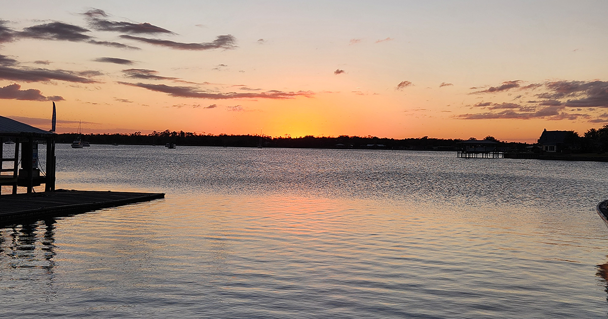 Eco & Sunset Manatee Tour